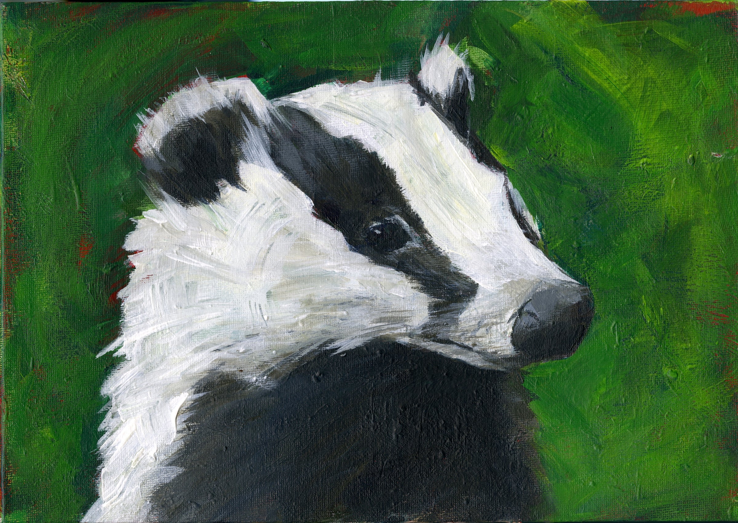 Badger painting