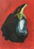 Aubergine