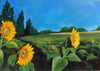 Field of sunflowers