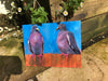 Two wood pigeons