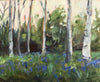 Bluebell woods
