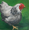 Hen