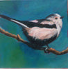 Set of 4 bird greetings cards - goldfinch, blue tit, long tailed tit and robin.