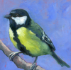 Set of 4 bird greeting cards - blackbird, great tit, house sparrow, greenfinch